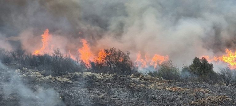 חשד להצתה מכוונת: 200 שריפות פרצו היום בשטח פתוח