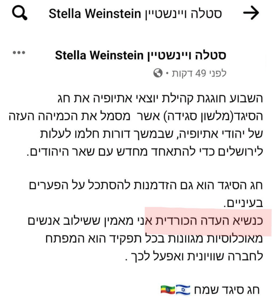 "כנשיא העדה הכורדית": הטעות המביכה של מנכל"ית ימינה