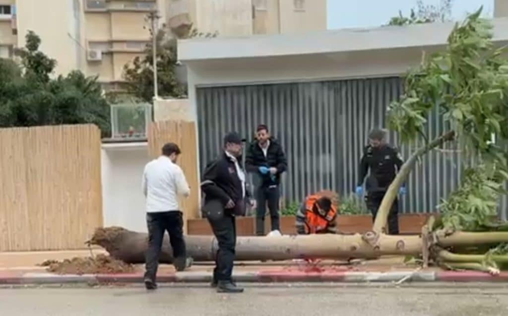 ה'כרמל' מתפשטת לכל הארץ: שלג כבד בחרמון, עצים קרסו, שיא הסופה בערב