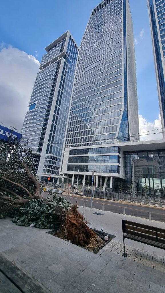 ה'כרמל' מתפשטת לכל הארץ: שלג כבד בחרמון, עצים קרסו, שיא הסופה בערב