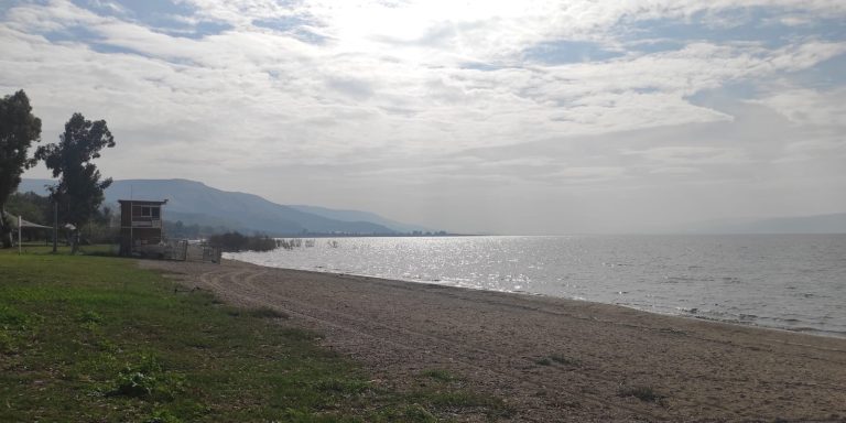 חוף דוגה, כינרת, מפלס הכינרת