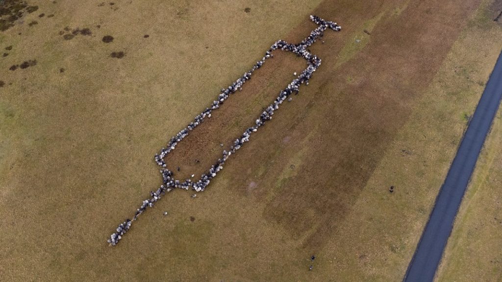 האישה עם השם הארוך בעולם קיבלה תעודה באורך 2 מטר • חדשות מהעולם