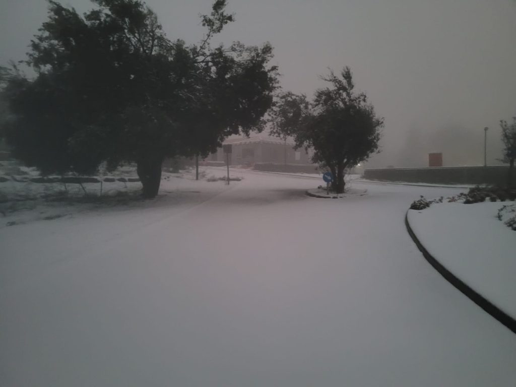 השלג בגולן - כבישים רבים נחסמו לתנועה