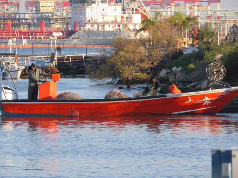 חיפה: דייגים נתפסו בעת פעילות שייט ודייג מסחרי לא חוקי