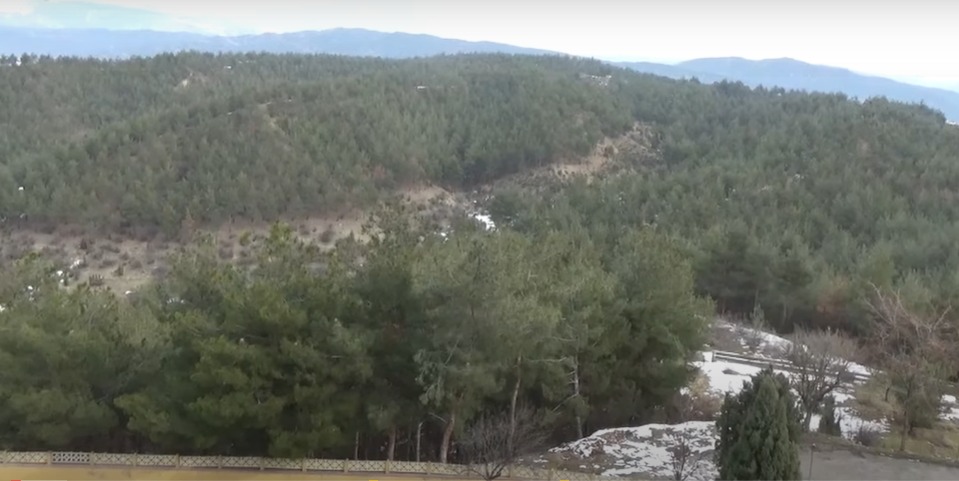 אדם בודד הפך גבעת טרשים ליער מלבלב