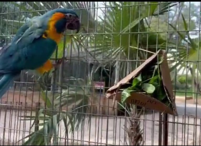פורים שמח בספארי: בעלי החיים קיבלו משלוחי מנות