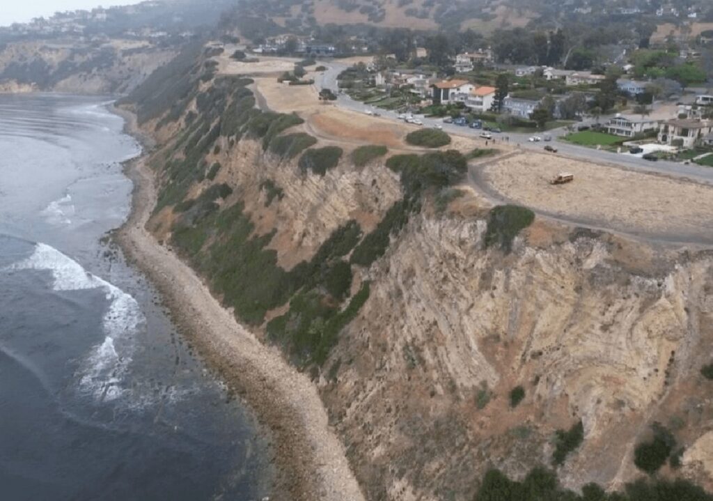 כבש נידון לשלוש שנות מאסר: החדשות מהעולם
