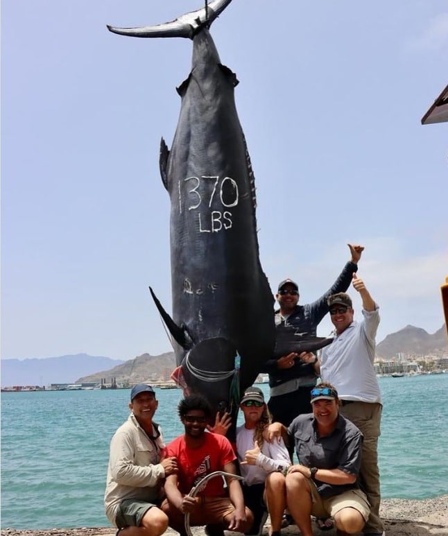 כבש נידון לשלוש שנות מאסר: החדשות מהעולם