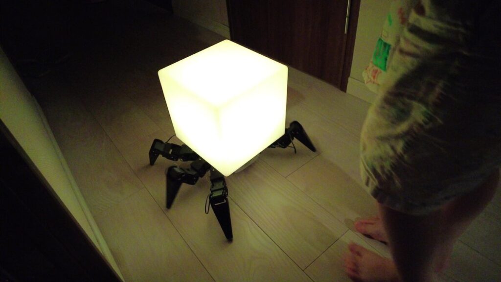 יצור מוזר בגן חיות, ובאיזו מדינה תשלמו על גיהוק? • חדשות מהעולם