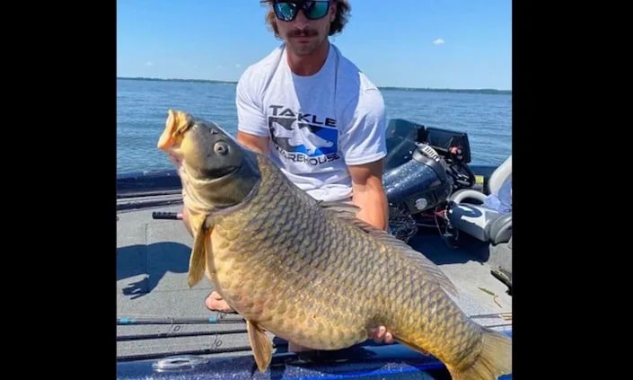 יצור מוזר בגן חיות, ובאיזו מדינה תשלמו על גיהוק? • חדשות מהעולם