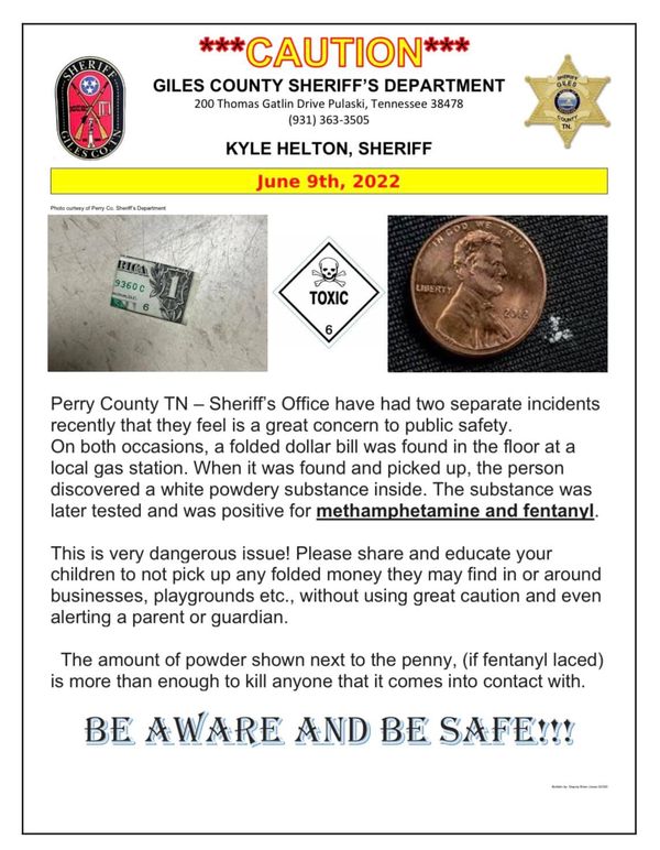 אסיר עולם ששוחרר בטעות, האם פיל הוא אדם? • חדשות מהעולם