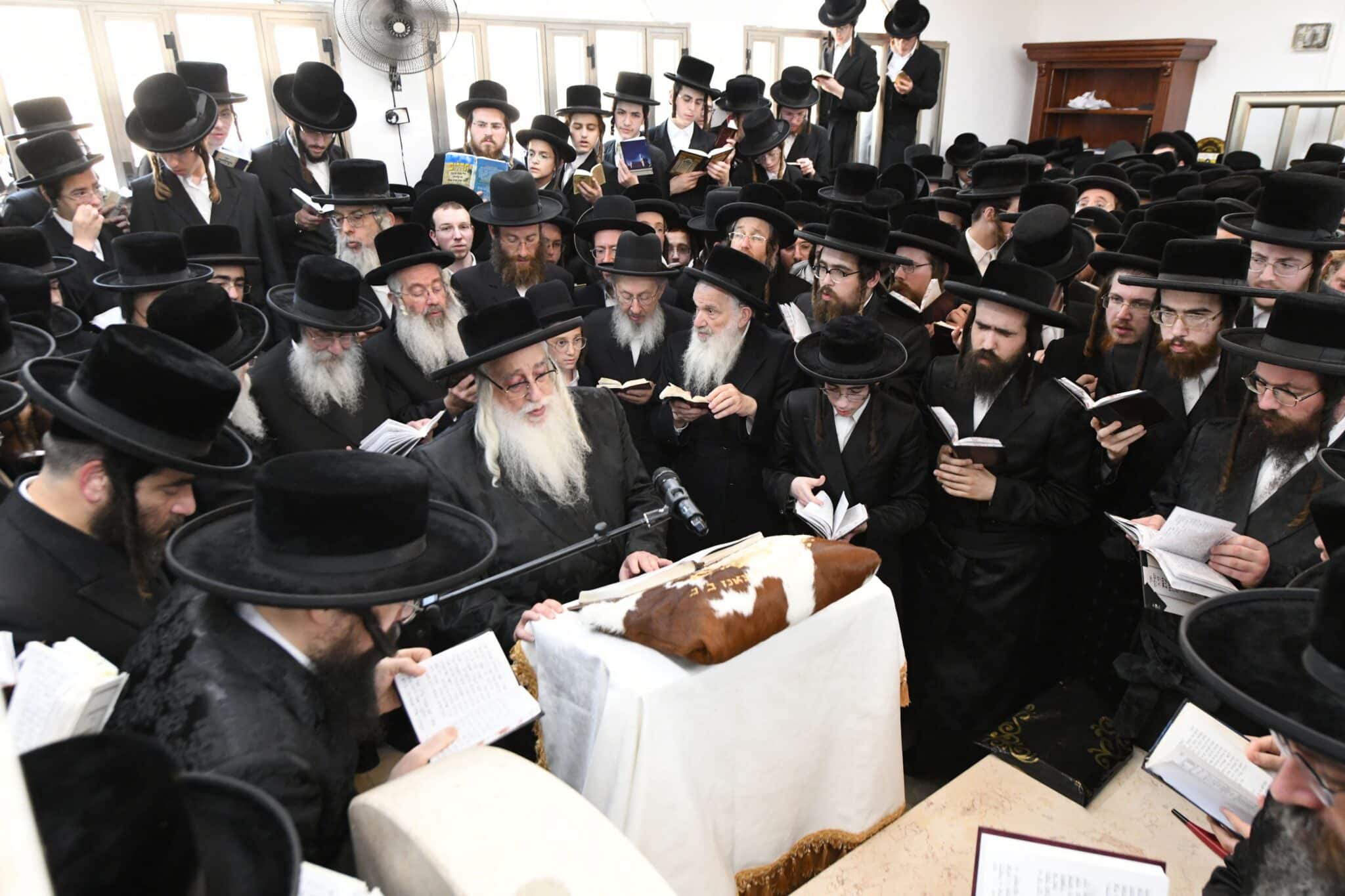 הילולת השפע חיים זי"ע בצל בנו האדמו"ר שליט"א