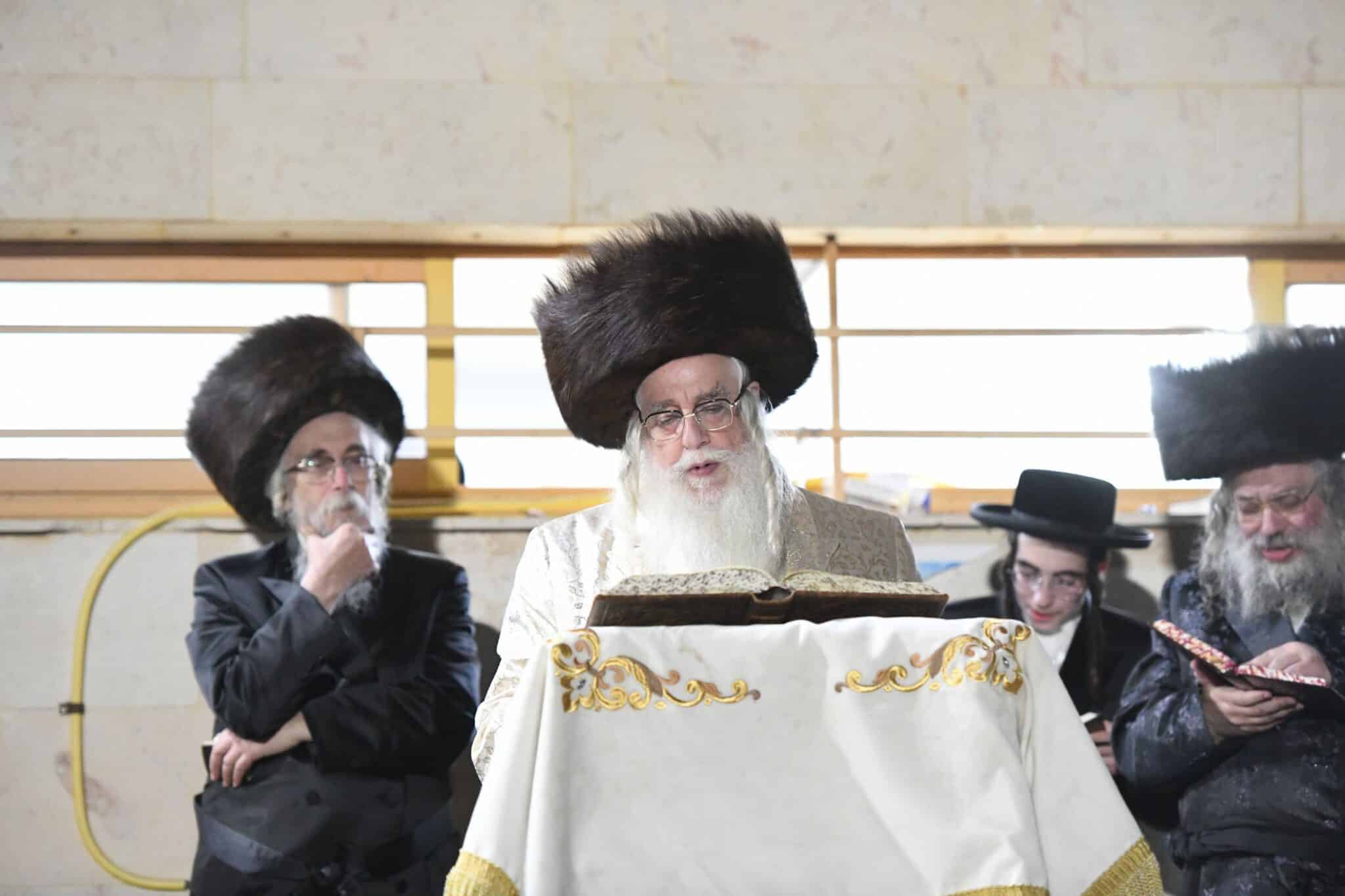 הילולת השפע חיים זי"ע בצל בנו האדמו"ר שליט"א