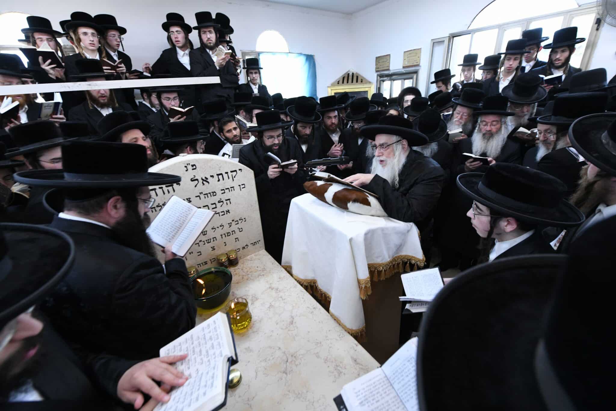 הילולת השפע חיים זי"ע בצל בנו האדמו"ר שליט"א