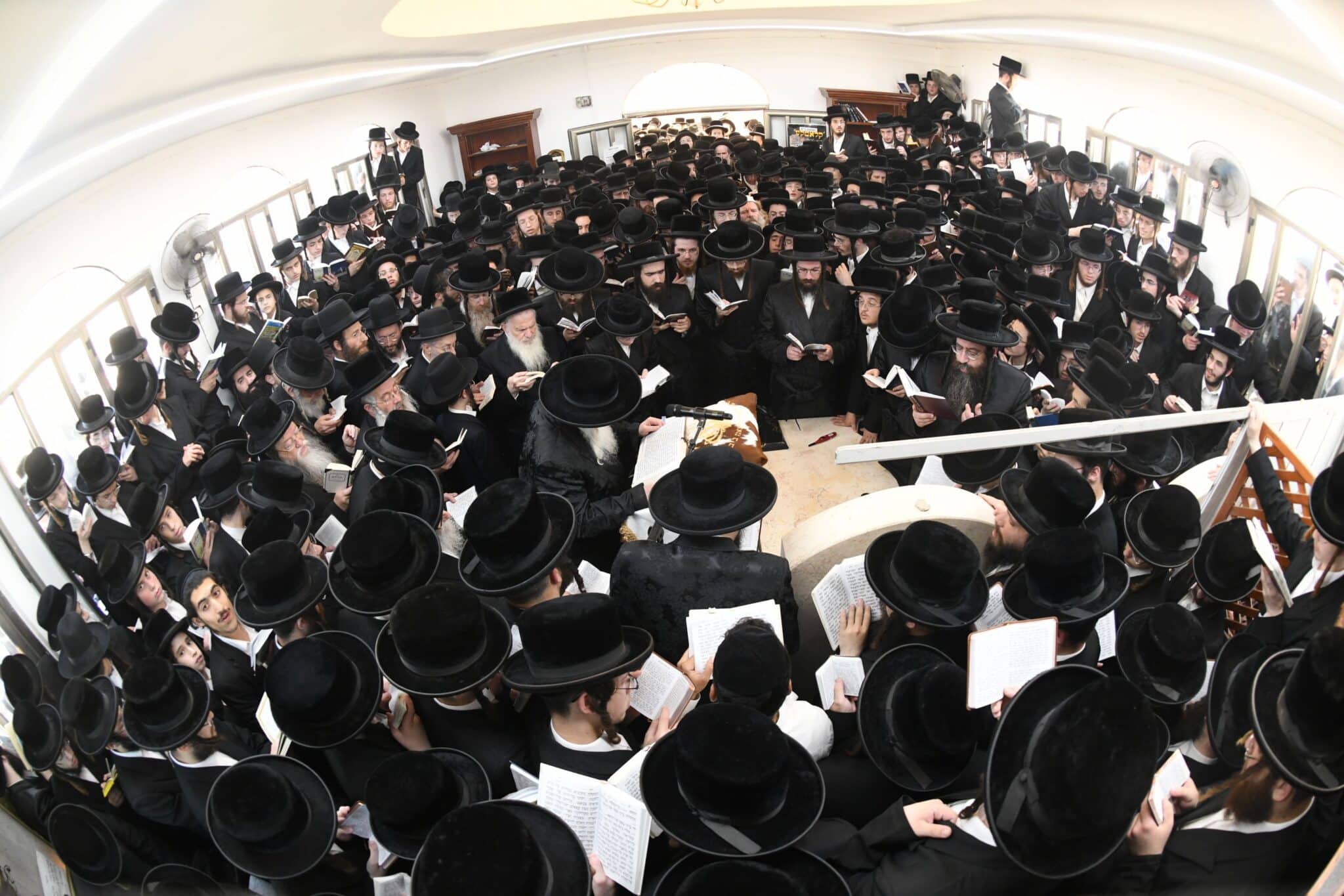 הילולת השפע חיים זי"ע בצל בנו האדמו"ר שליט"א