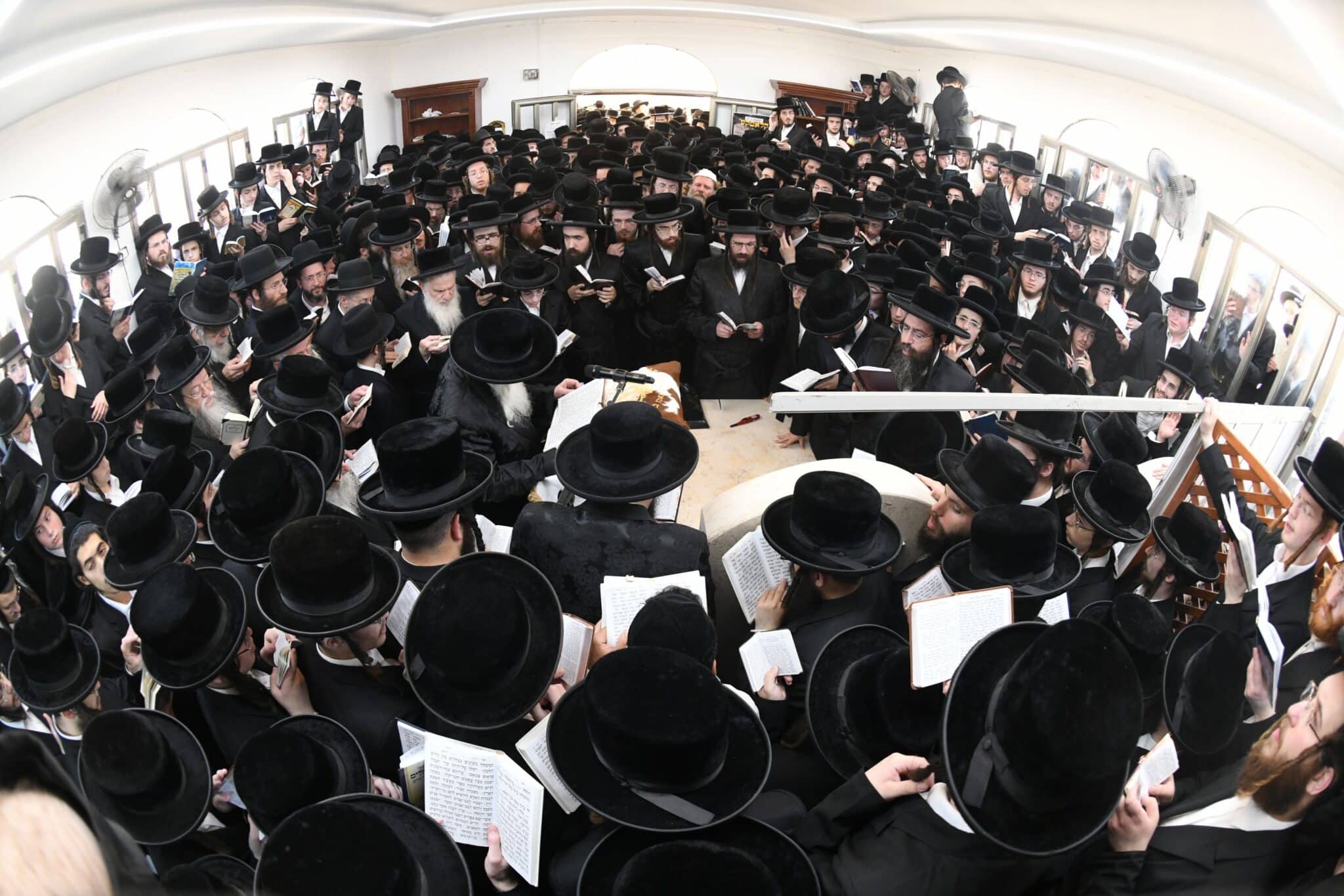 הילולת השפע חיים זי"ע בצל בנו האדמו"ר שליט"א