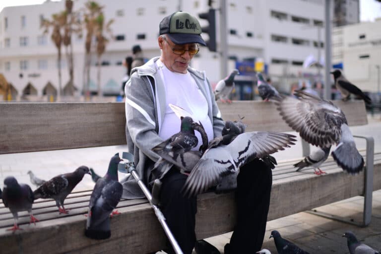 מזג האוויר: הטמפרטורות עדיין יהיו גבוהות לעונה