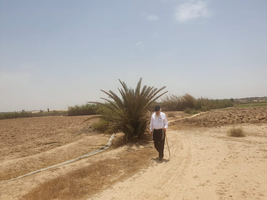 סוכות תשפ"ג: הגר"י אפרתי בפרדסי האתרוגים במרוקו