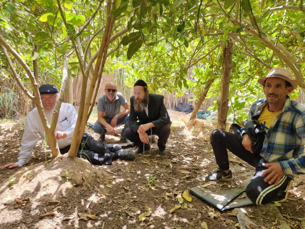 סוכות תשפ"ג: הגר"י אפרתי בפרדסי האתרוגים במרוקו
