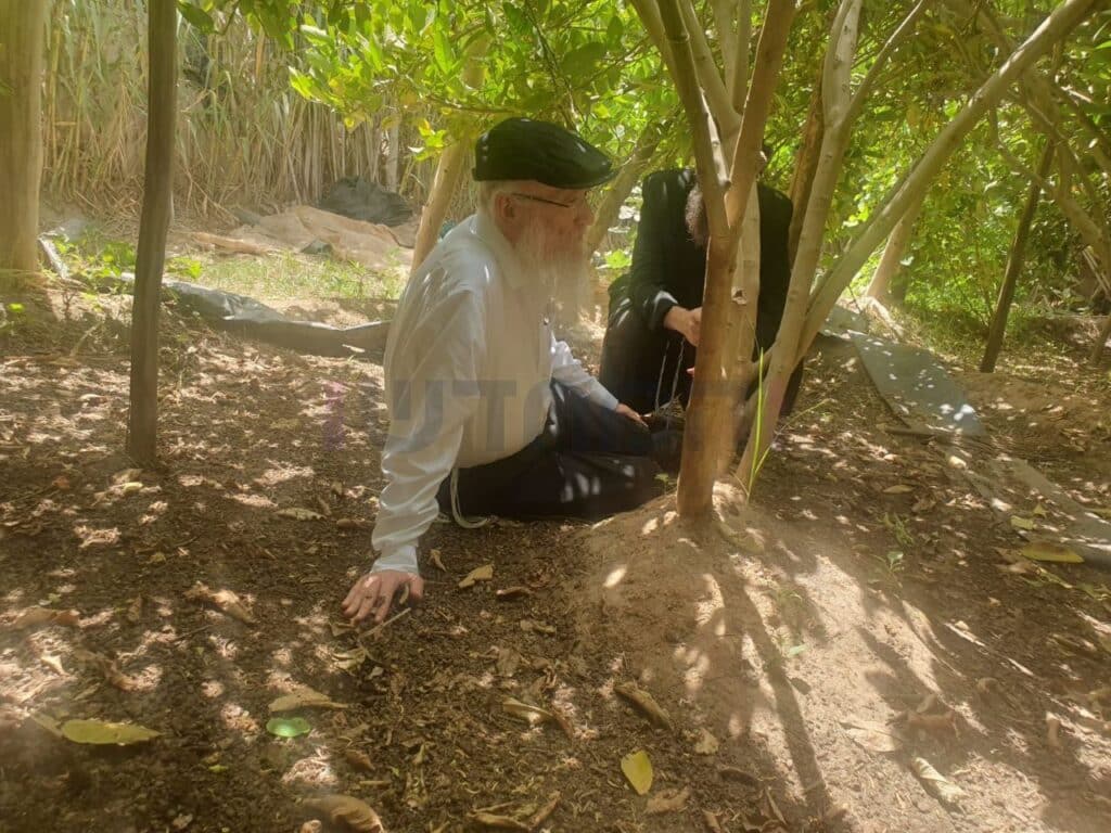 סוכות תשפ"ג: הגר"י אפרתי בפרדסי האתרוגים במרוקו