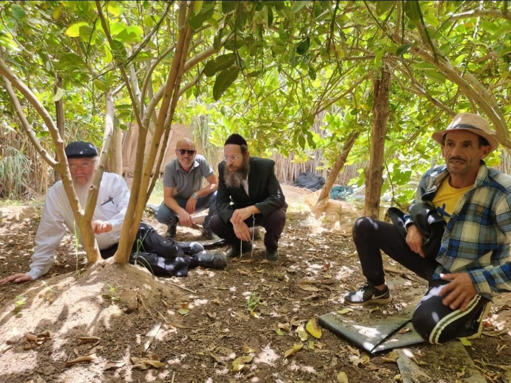 סוכות תשפ"ג: הגר"י אפרתי בפרדסי האתרוגים במרוקו