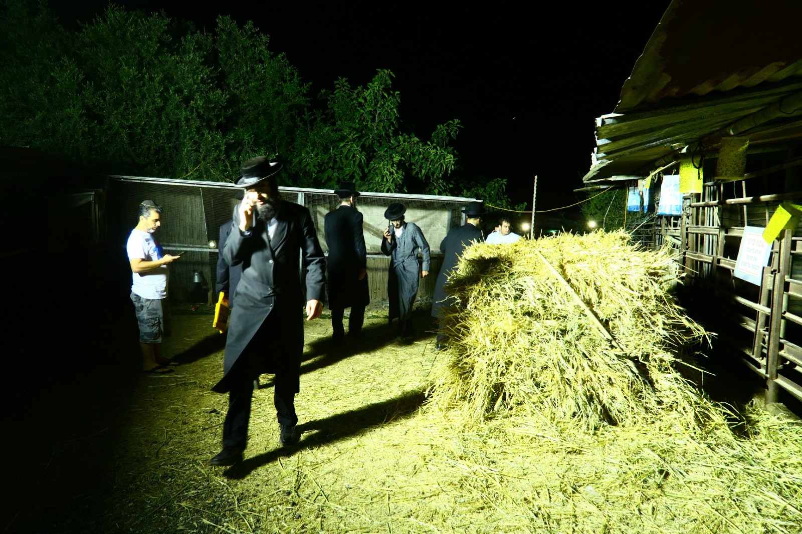 תיעוד: אלפים בציונו הקדוש של פועל הישועות מעגור