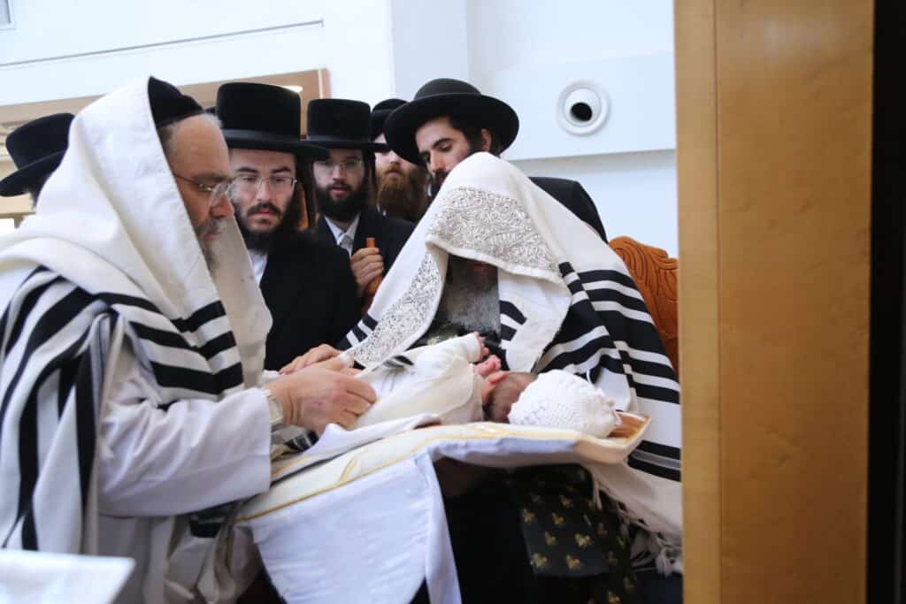 הברית לנכד האדמו"ר מטעמשוואר אלעד