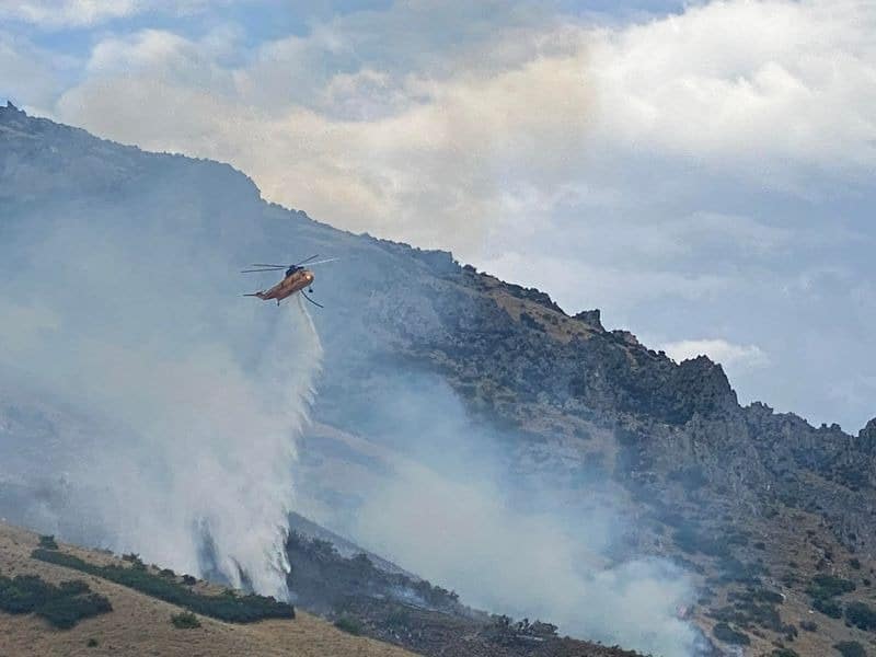 האיש שלא התקלח 22 שנה, והון עתק על מלפפון חמוץ • חדשות מהעולם