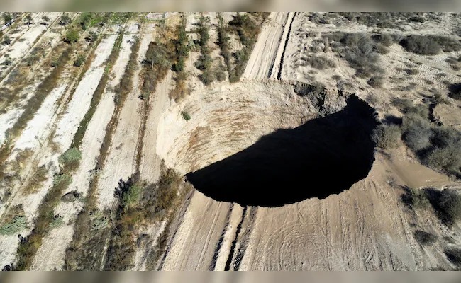 האיש שלא התקלח 22 שנה, והון עתק על מלפפון חמוץ • חדשות מהעולם