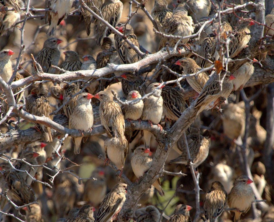 האיש שלא התקלח 22 שנה, והון עתק על מלפפון חמוץ • חדשות מהעולם
