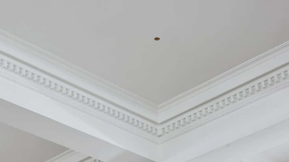 האיש שלא התקלח 22 שנה, והון עתק על מלפפון חמוץ • חדשות מהעולם