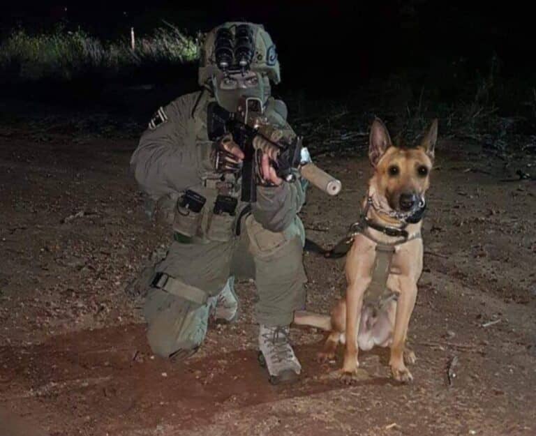 לפיד פרסם הודעת אבל על מות הכלב "הלוחם על ארבע"