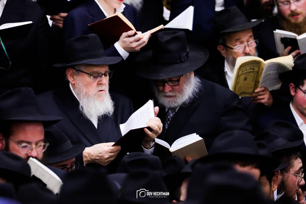 אלפי אנשים באמירת סליחות בבית מדרשו של הרבי מליובאוויטש • גלריה