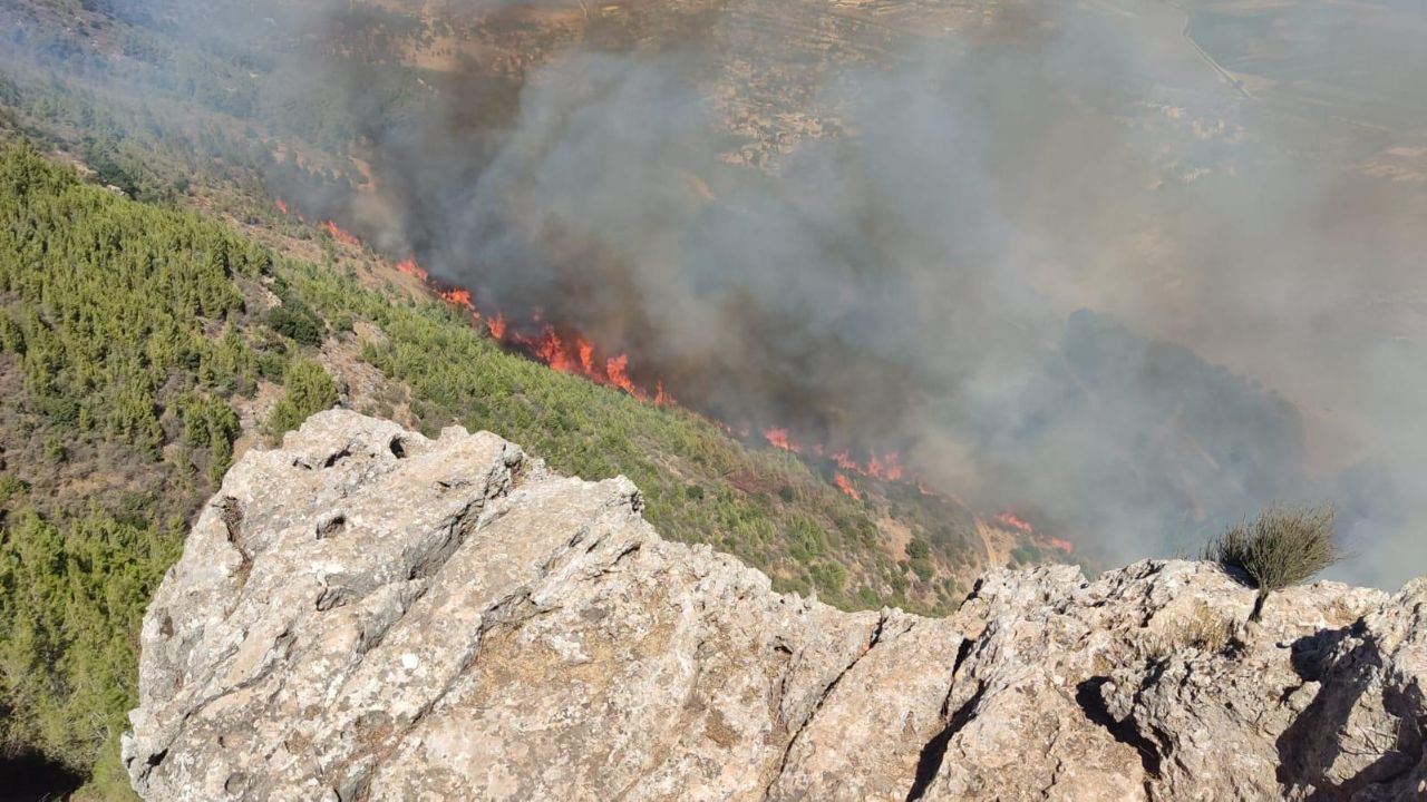 עשרות צוותים עמלים למנוע מהשריפות בצפון להתפשט ליישובים