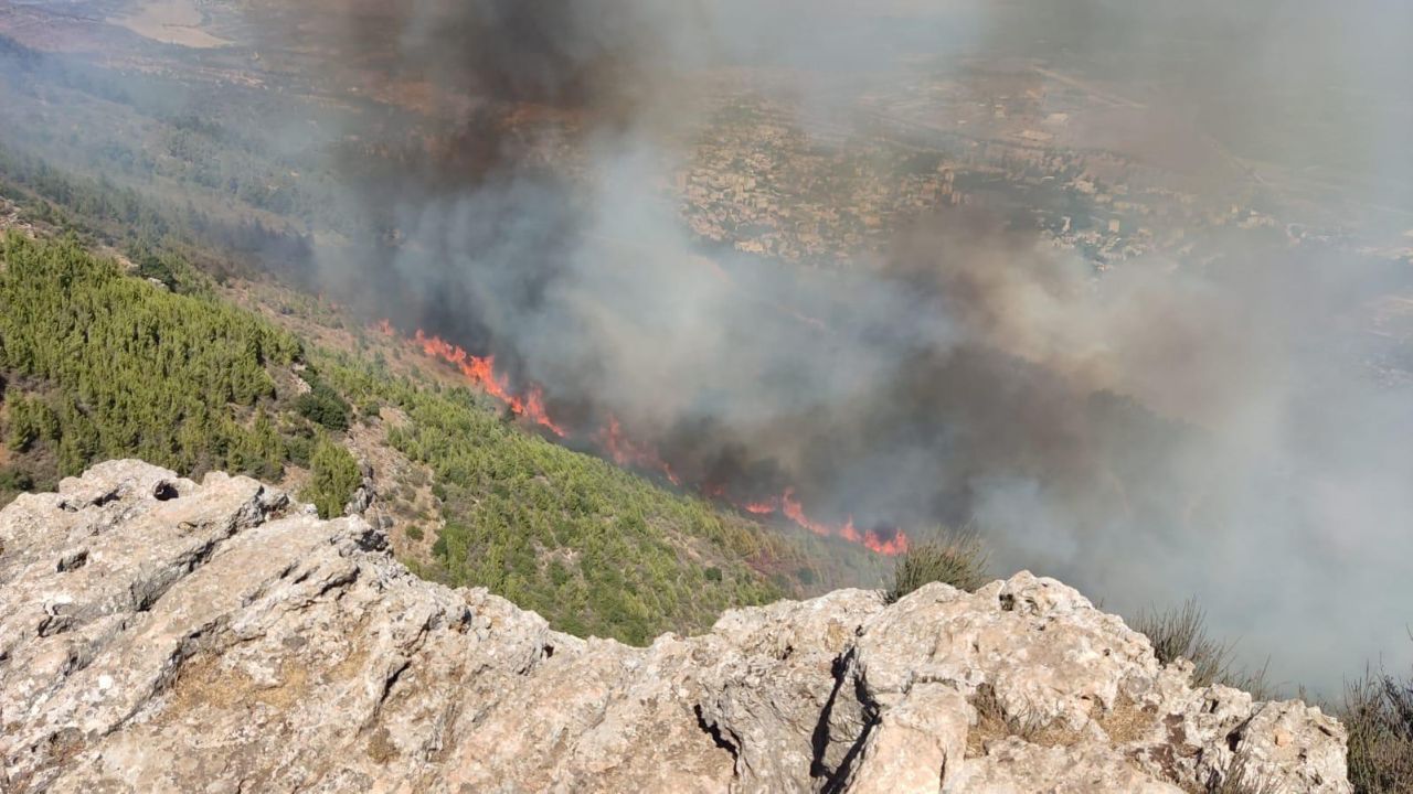 עשרות צוותים עמלים למנוע מהשריפות בצפון להתפשט ליישובים