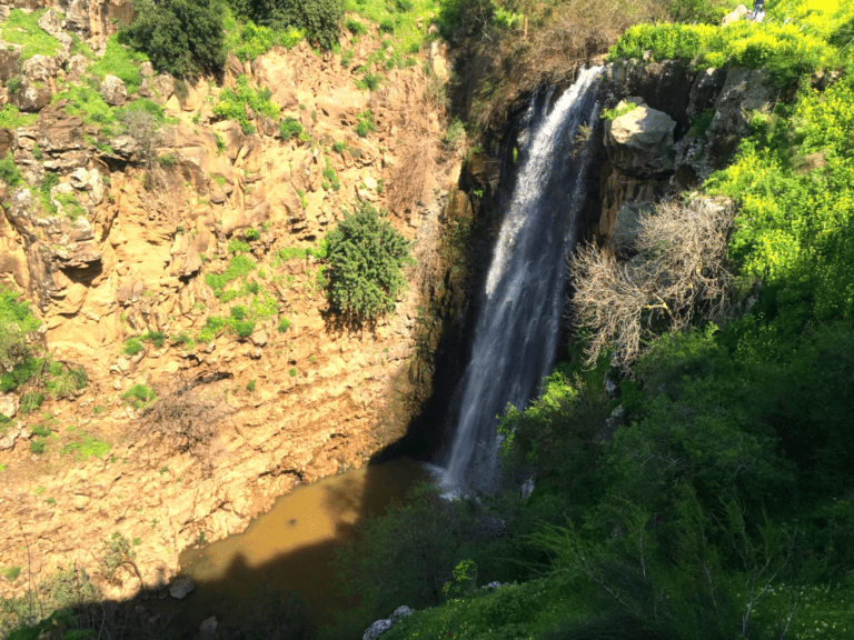 הכניסה לנחלים האהובים בצפון נאסרה בגלל תוצאות דיגום חריגות