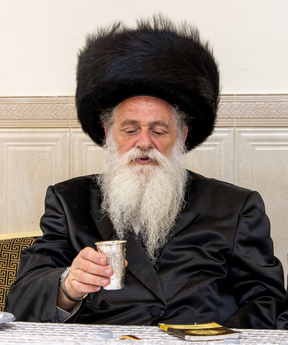 אדמו"רים ורבנים בבר מצווה לנכד הגר"ש זולדן שליט"א מו"ץ דסערט ויז'ניץ