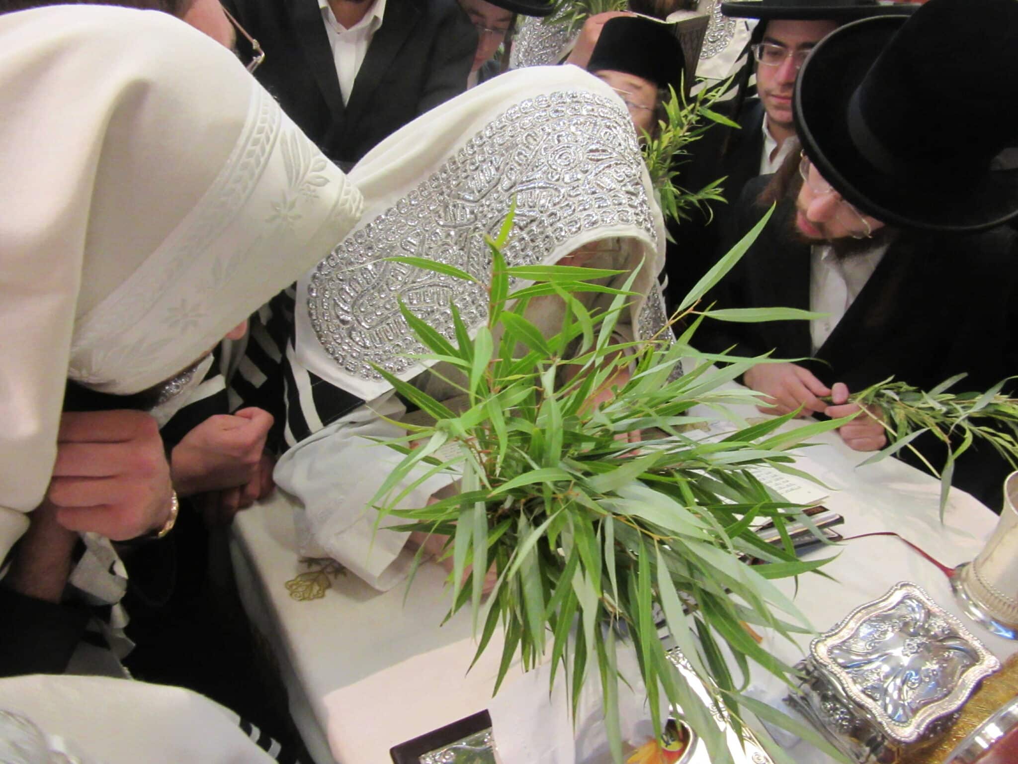 הושענא רבא ונענועים בימי חוה"מ בחצה"ק קרעטשניף