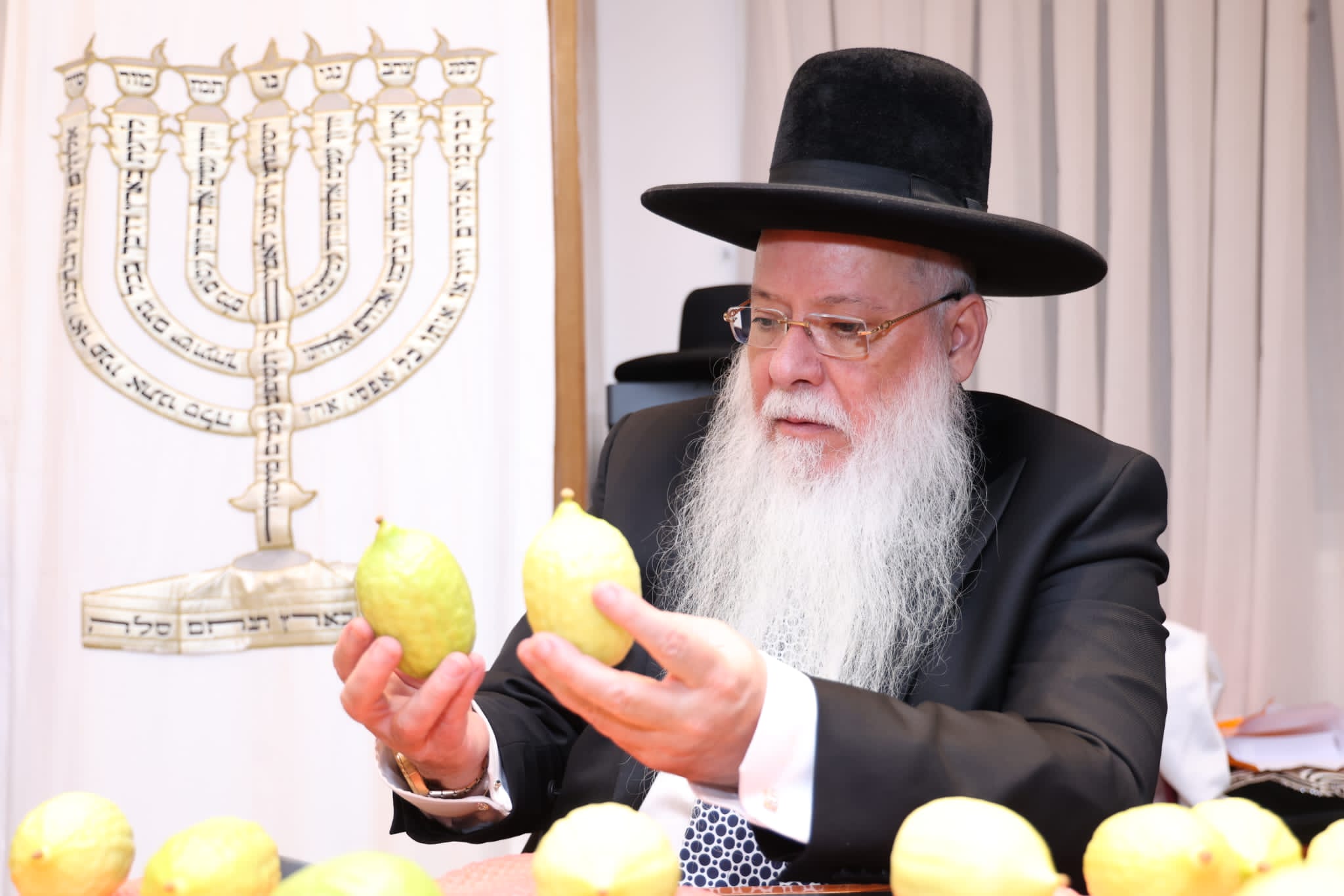 מחיל אל חיל: חברי המועצת וגדולי ישראל בחרו ארבעת המינים