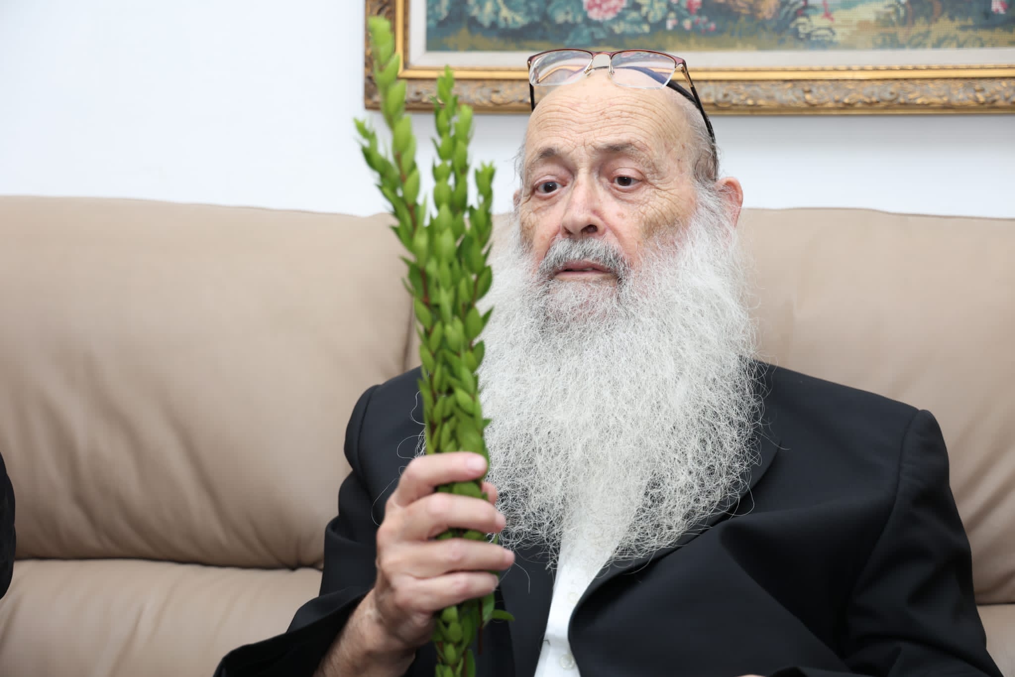 מחיל אל חיל: חברי המועצת וגדולי ישראל בחרו ארבעת המינים