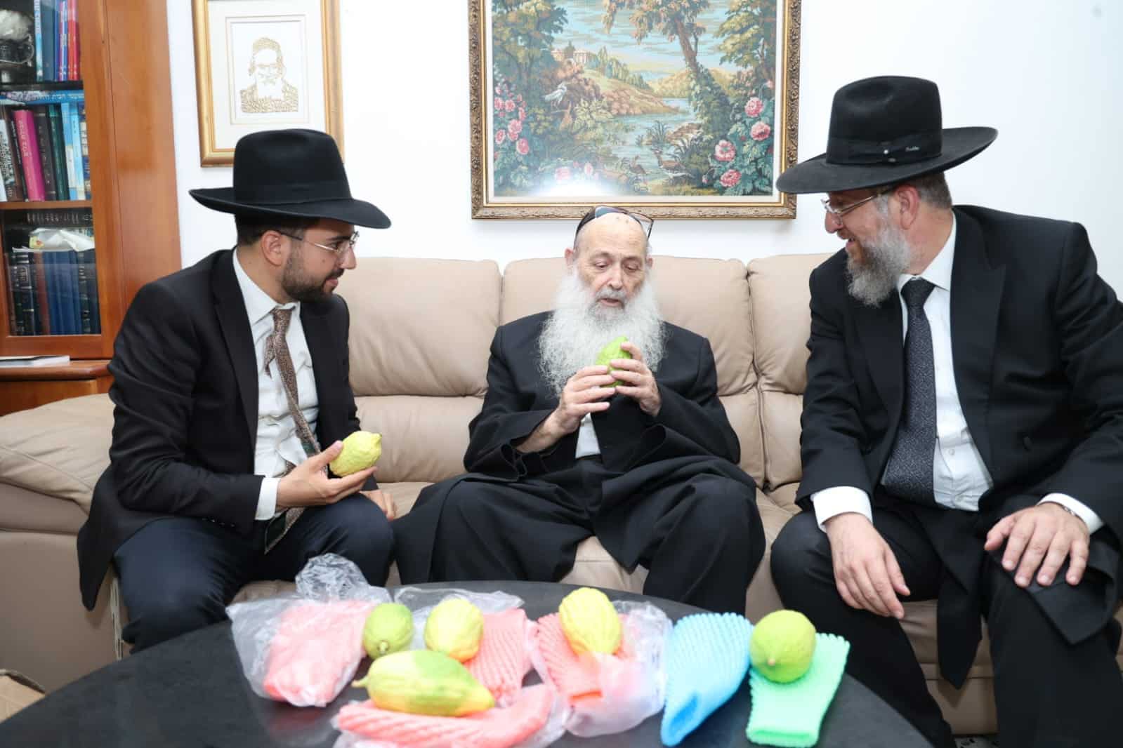 מחיל אל חיל: חברי המועצת וגדולי ישראל בחרו ארבעת המינים