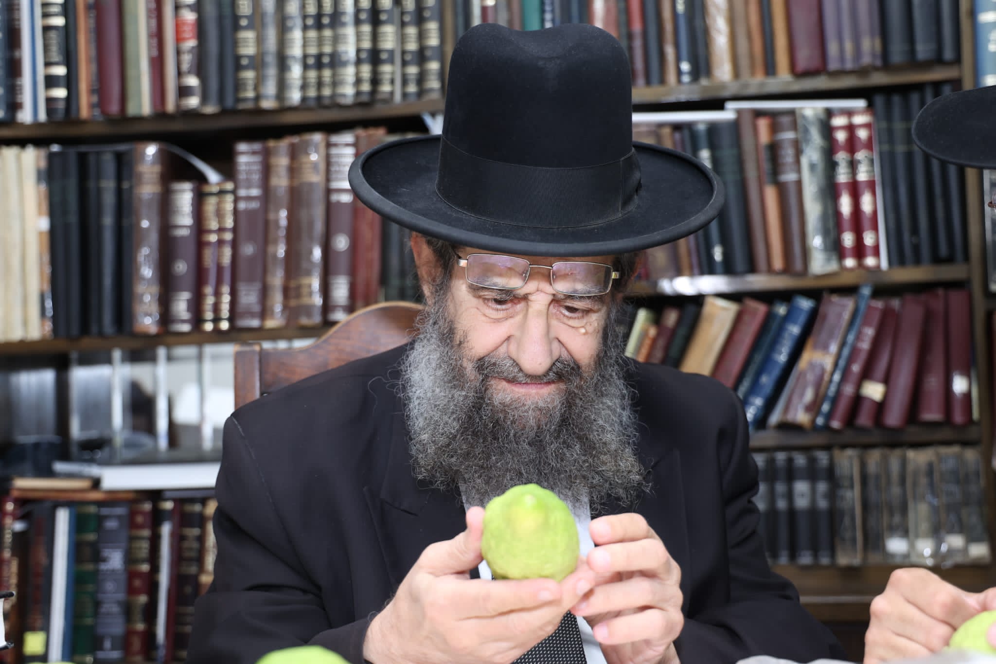 מחיל אל חיל: חברי המועצת וגדולי ישראל בחרו ארבעת המינים