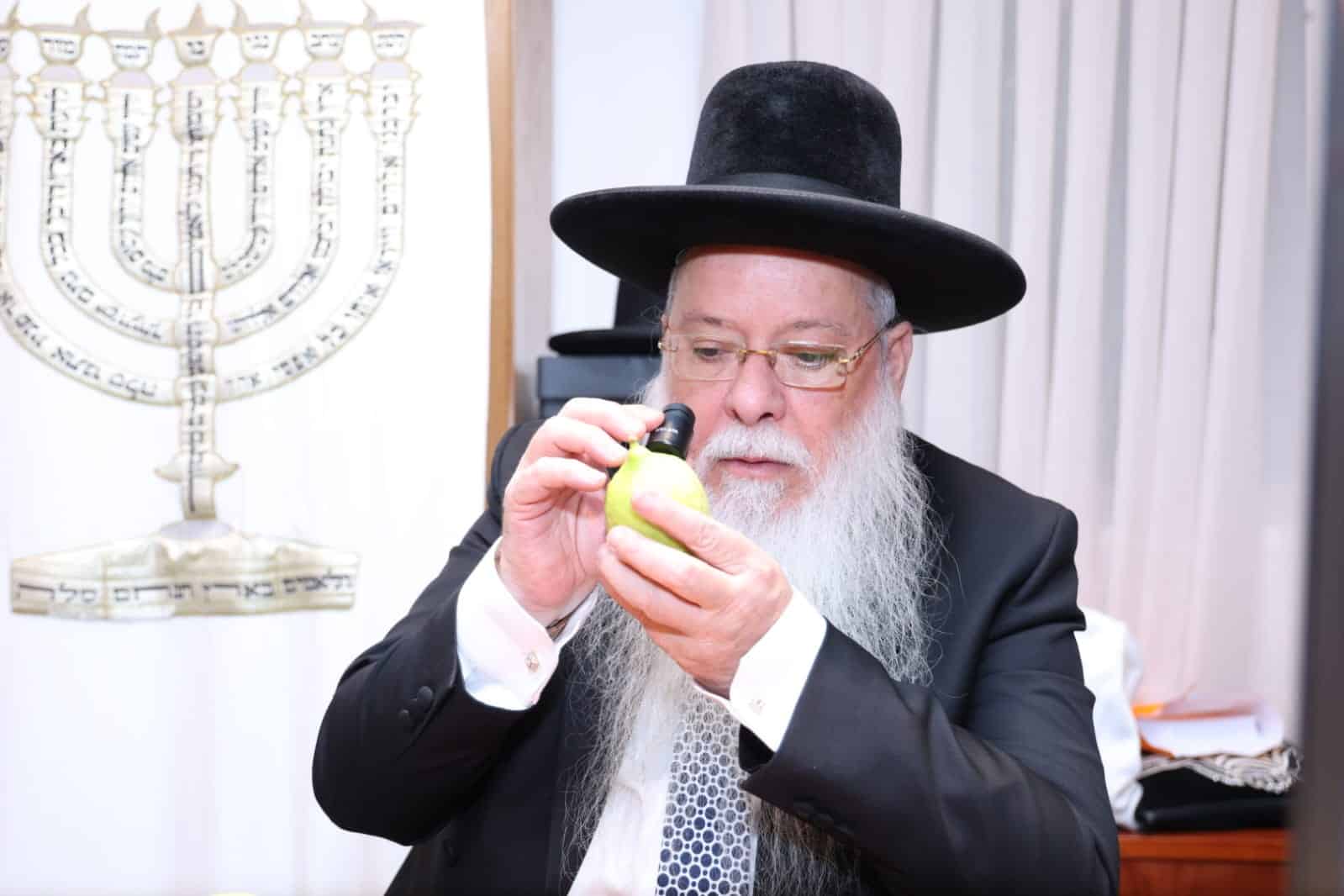 מחיל אל חיל: חברי המועצת וגדולי ישראל בחרו ארבעת המינים