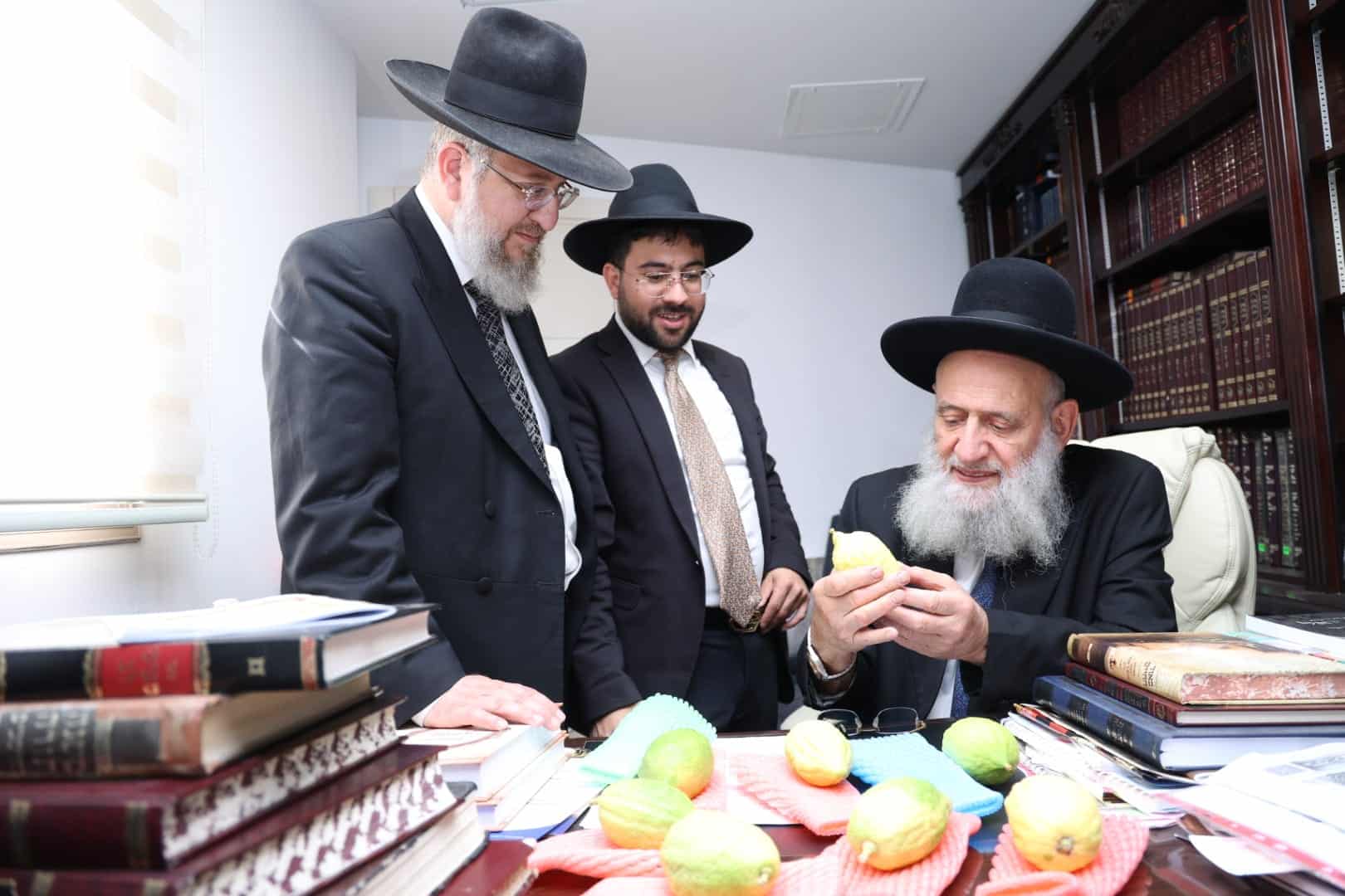 מחיל אל חיל: חברי המועצת וגדולי ישראל בחרו ארבעת המינים