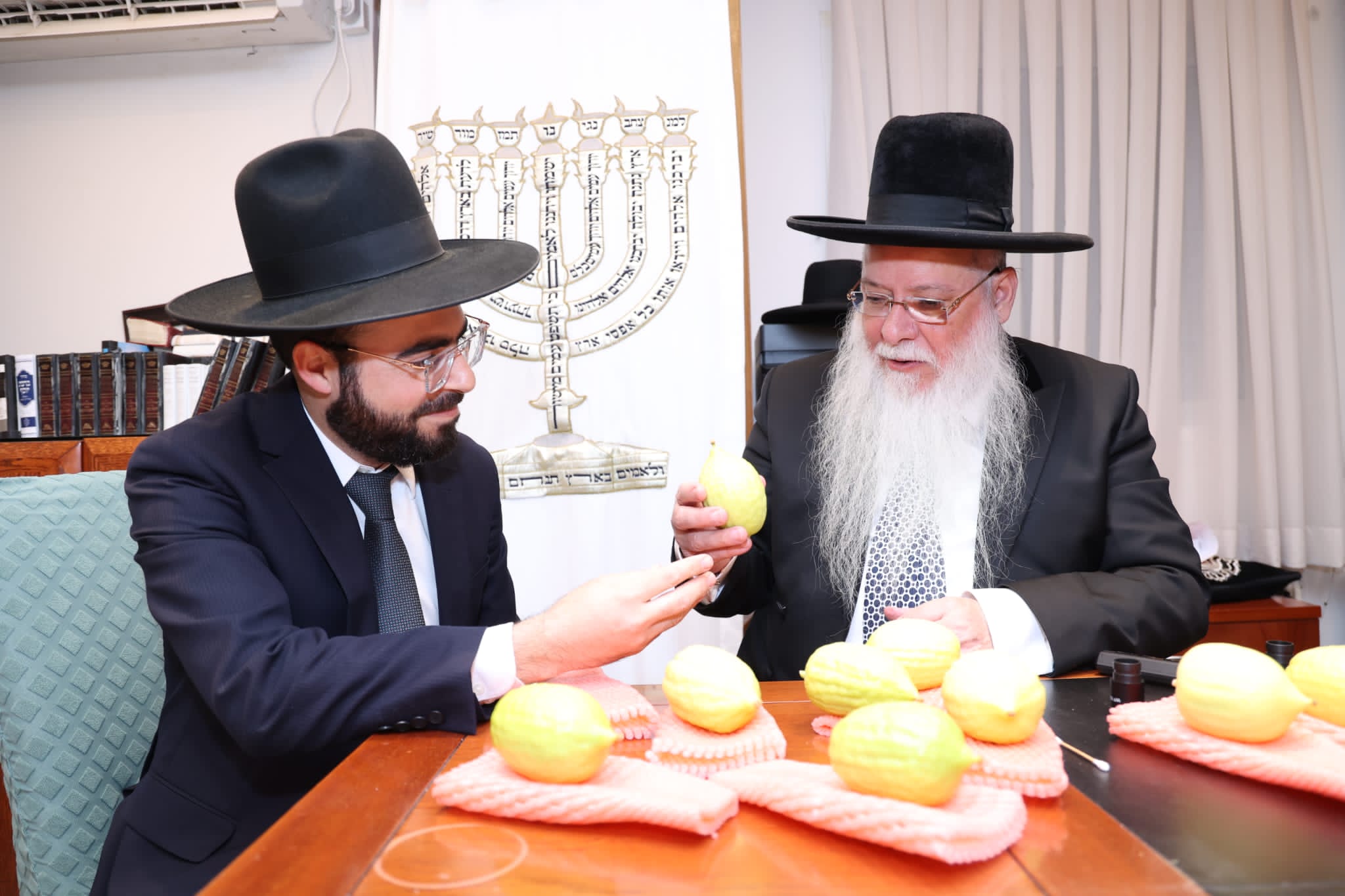 מחיל אל חיל: חברי המועצת וגדולי ישראל בחרו ארבעת המינים