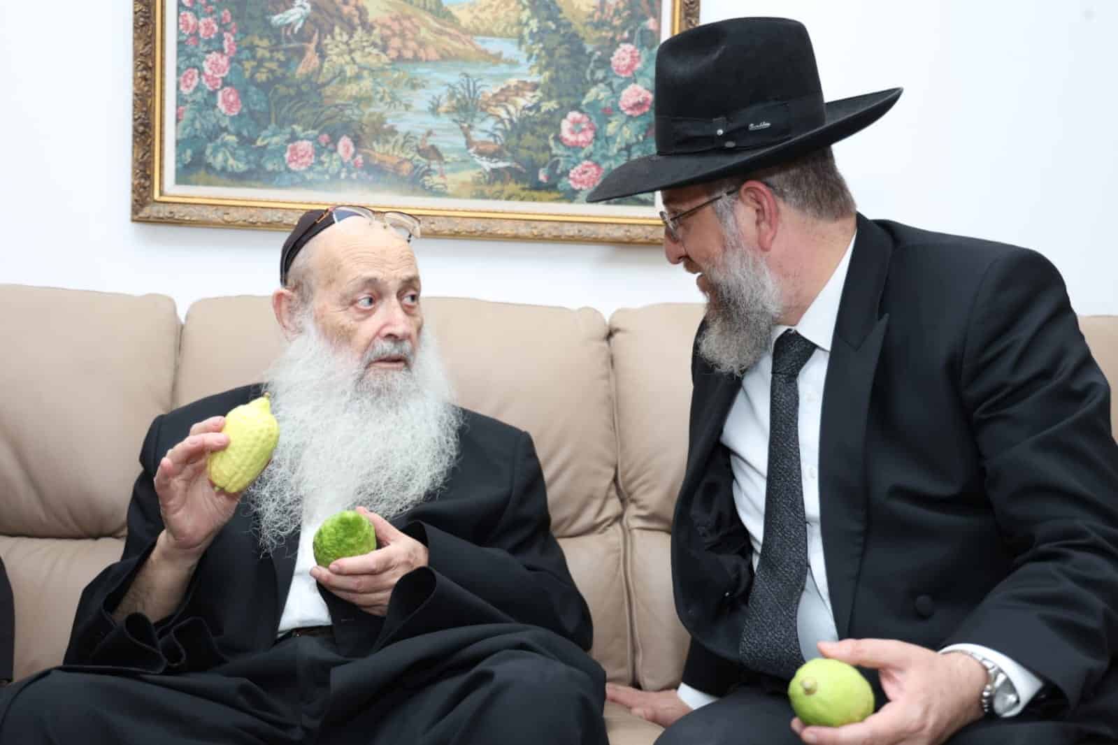 מחיל אל חיל: חברי המועצת וגדולי ישראל בחרו ארבעת המינים