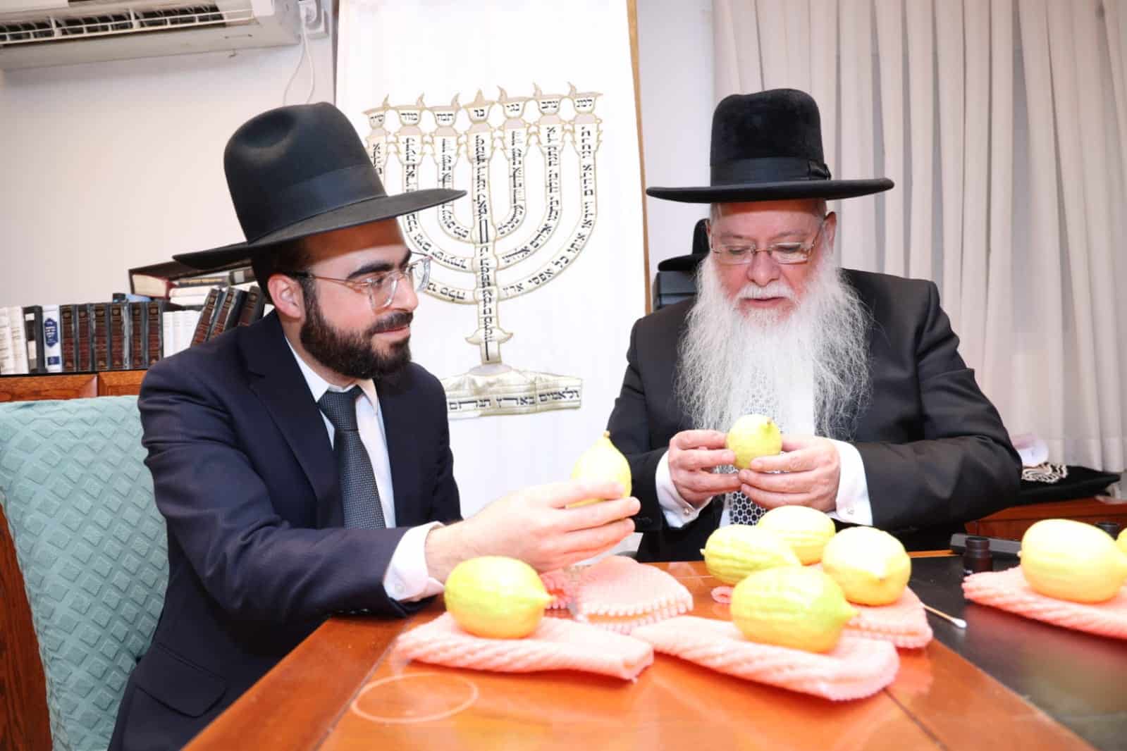 מחיל אל חיל: חברי המועצת וגדולי ישראל בחרו ארבעת המינים