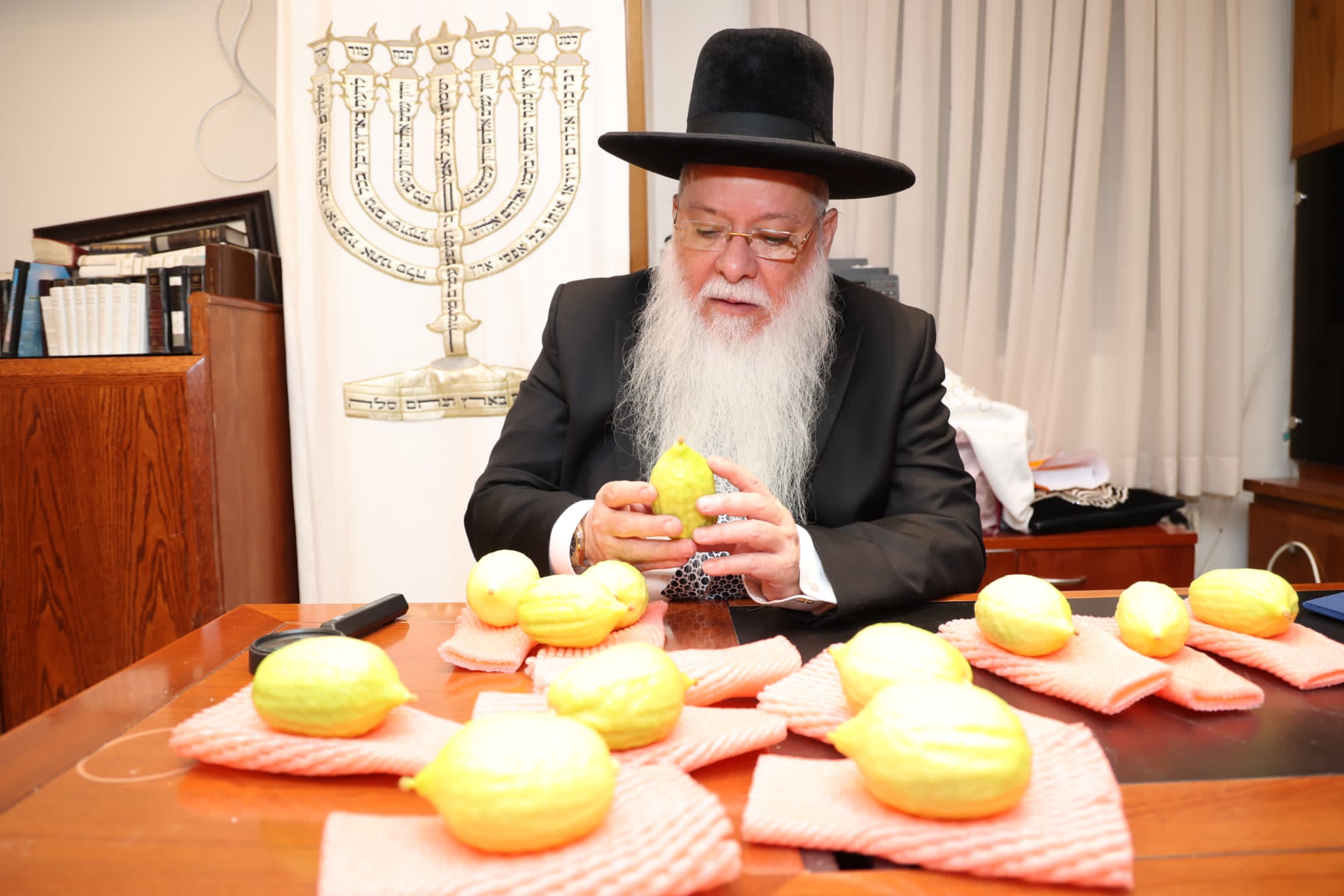 מחיל אל חיל: חברי המועצת וגדולי ישראל בחרו ארבעת המינים