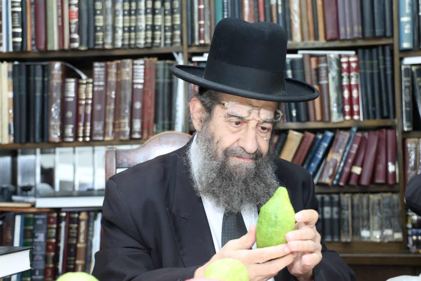 מחיל אל חיל: חברי המועצת וגדולי ישראל בחרו ארבעת המינים