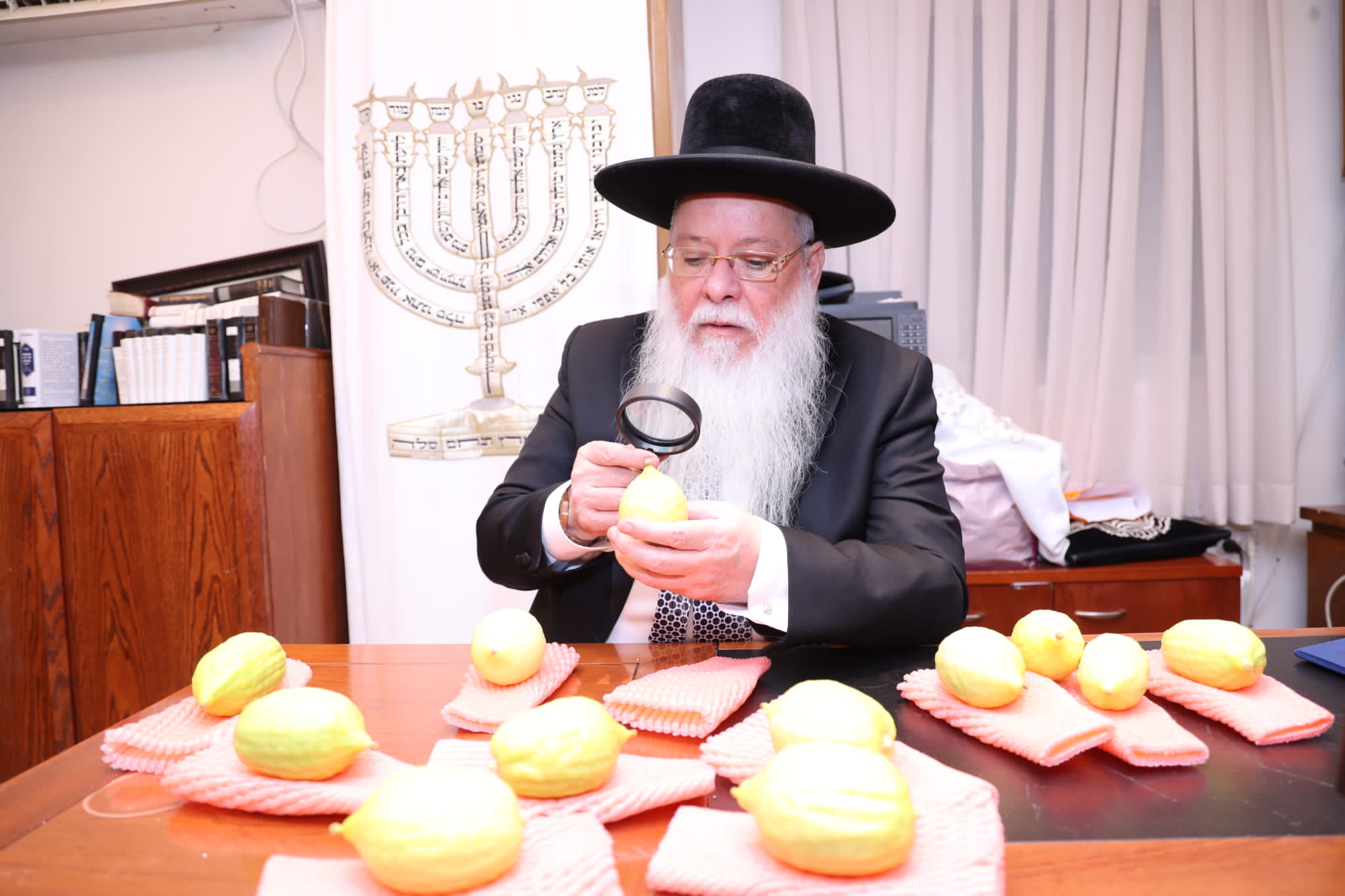 מחיל אל חיל: חברי המועצת וגדולי ישראל בחרו ארבעת המינים